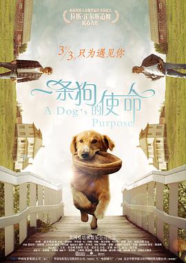 亚洲欧美日韩综合